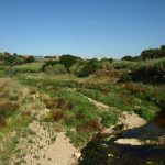 Riu Ripoll Barbera del Valles